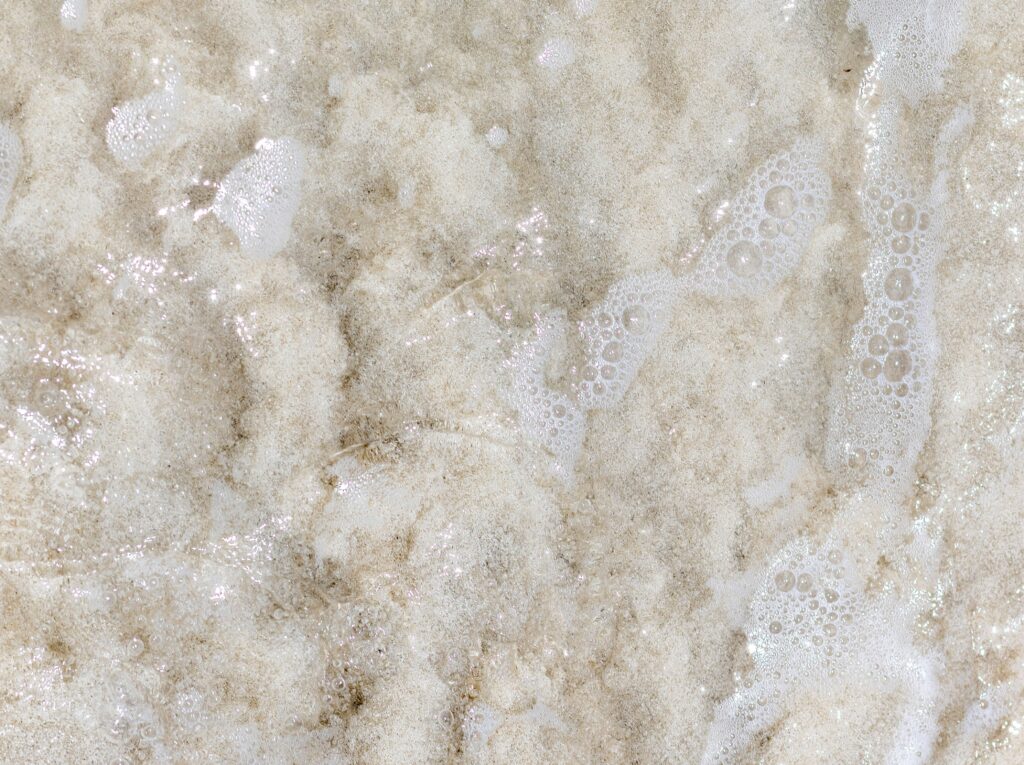 Wet sheep’s wool surrounded by foam during washing, illustrating the wool scouring process.
